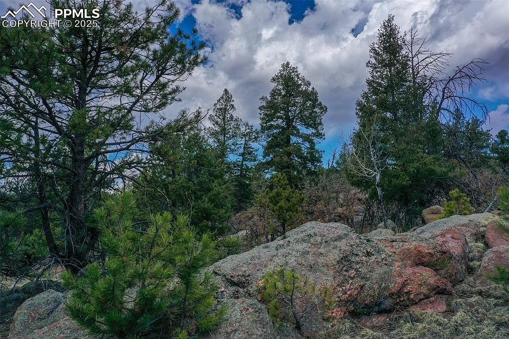 487 Pike View Ln Florissant, CO 80816  | Land/Lot
