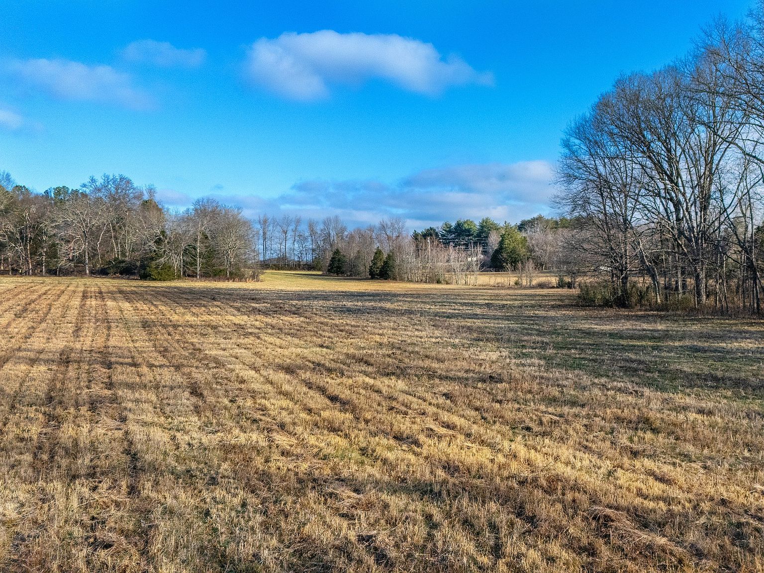 2275 Osburn Rd Arrington, TN 37014  | Land/Lot