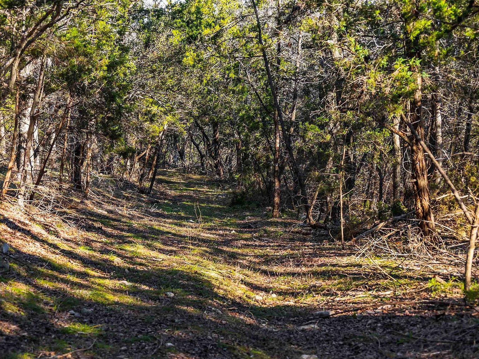 13017 Bob Johnson Ln #C Manchaca, TX 78652  | Land/Lot