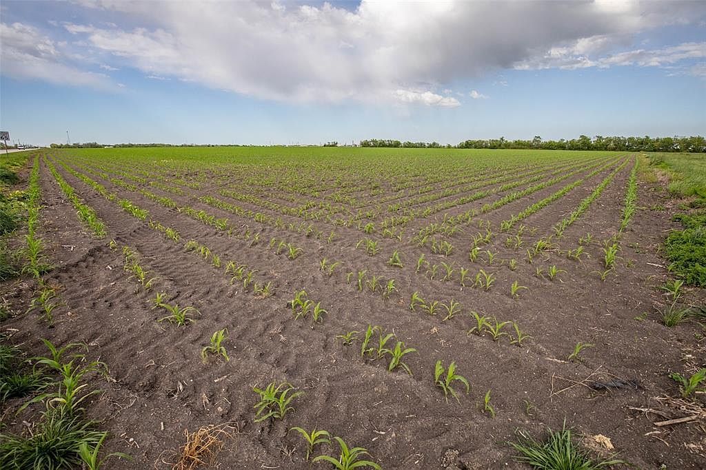 S State Highway 95 Taylor, TX 76574  | Land/Lot