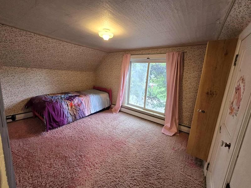 1007 E Hopson St Bad Axe, MI 48413  | Single Family