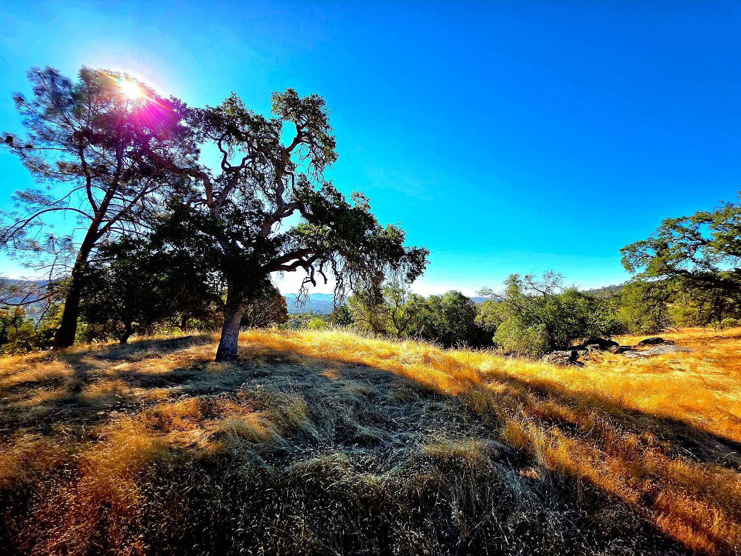 1 Lilley Mountain Dr Coarsegold, CA 93614  | Land/Lot