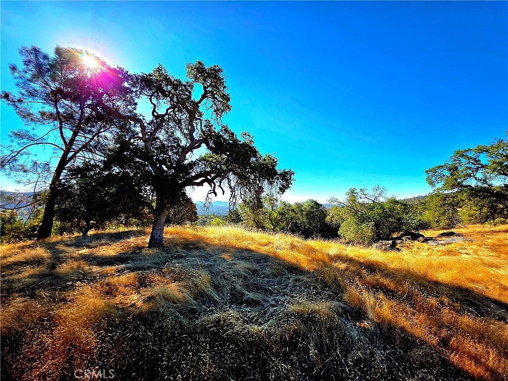 1 Lilley Mountain Dr LOT 1379 Coarsegold, CA 93614 | Land/Lot