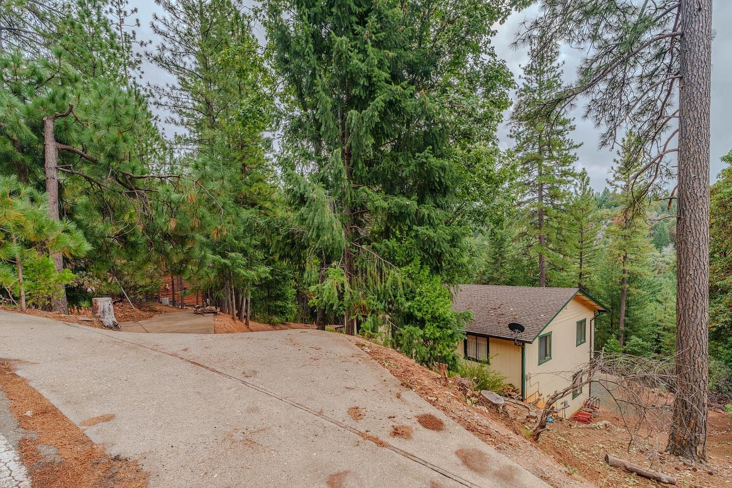 25504 Meadow Dr Pioneer, CA 95666 | Single Family