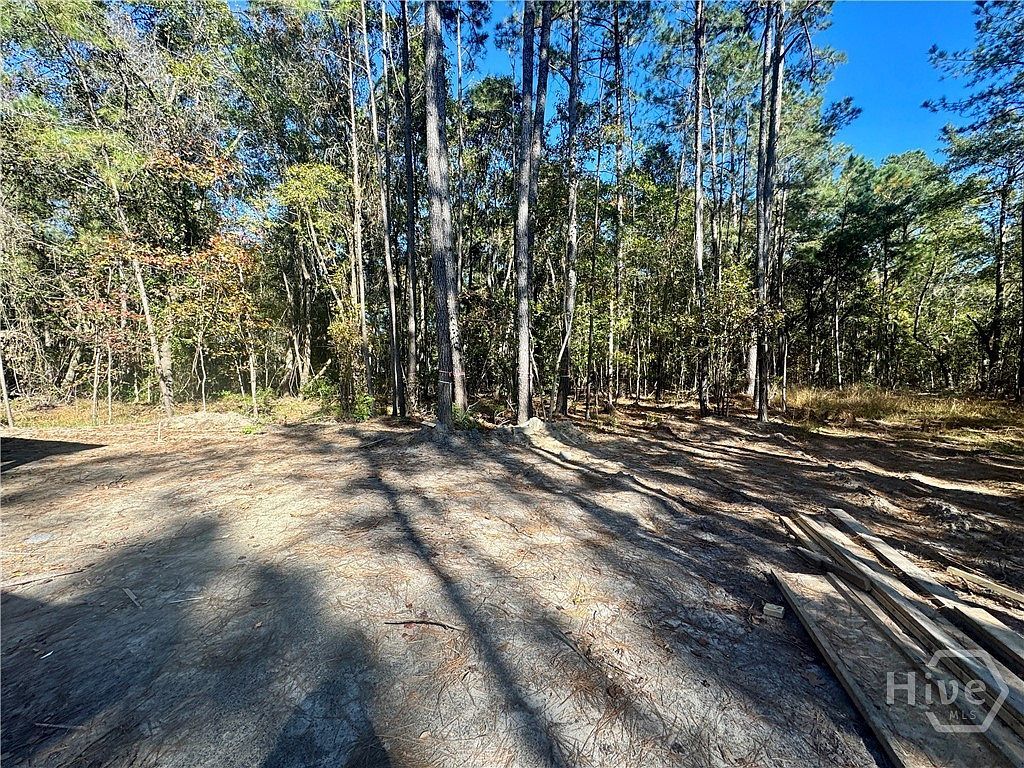 559 Dunham Marsh Trl Richmond Hill, GA 31324  | Single Family