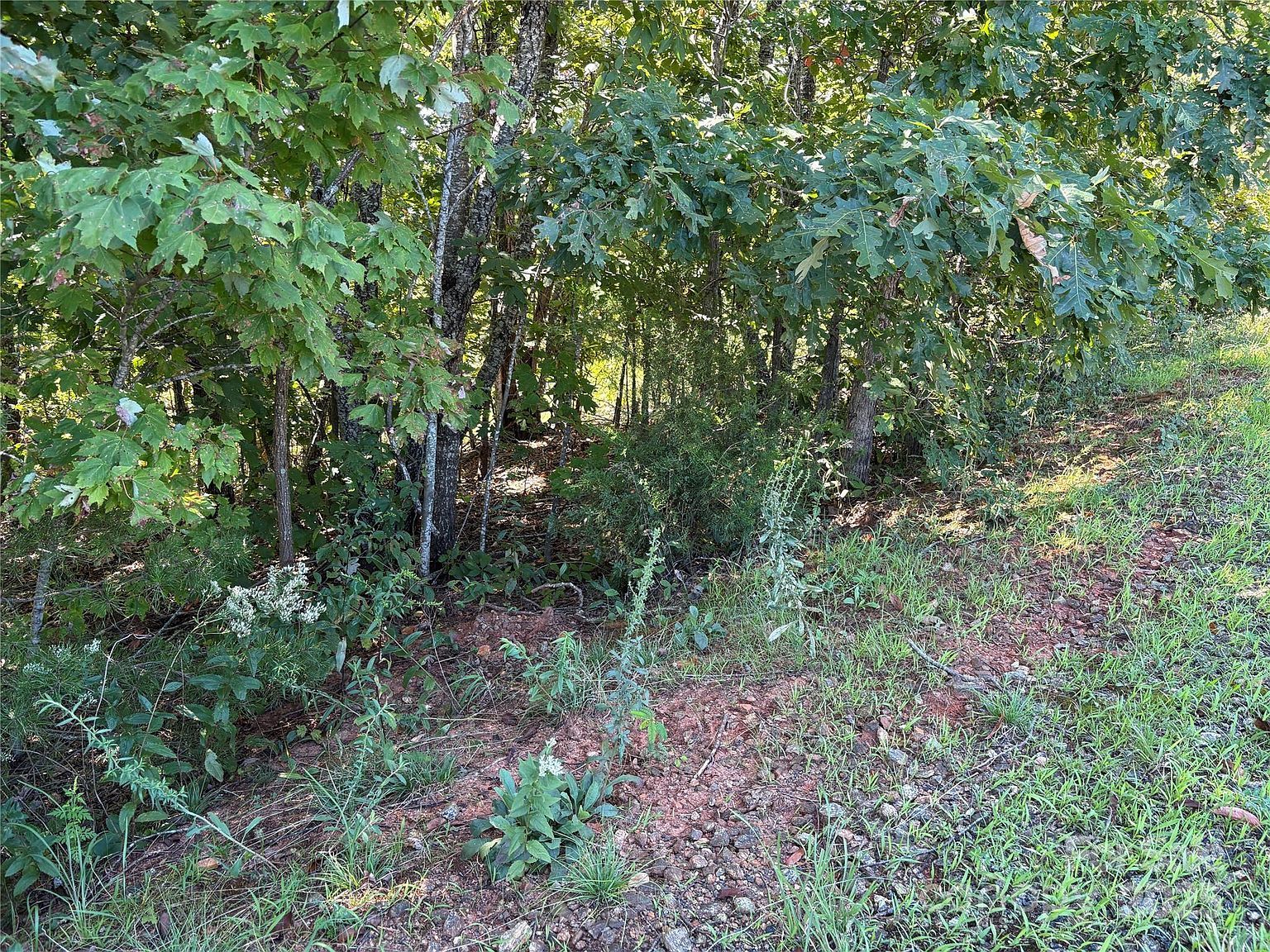 0 Azule Ridge Dr Bostic, NC 28018  | Land/Lot