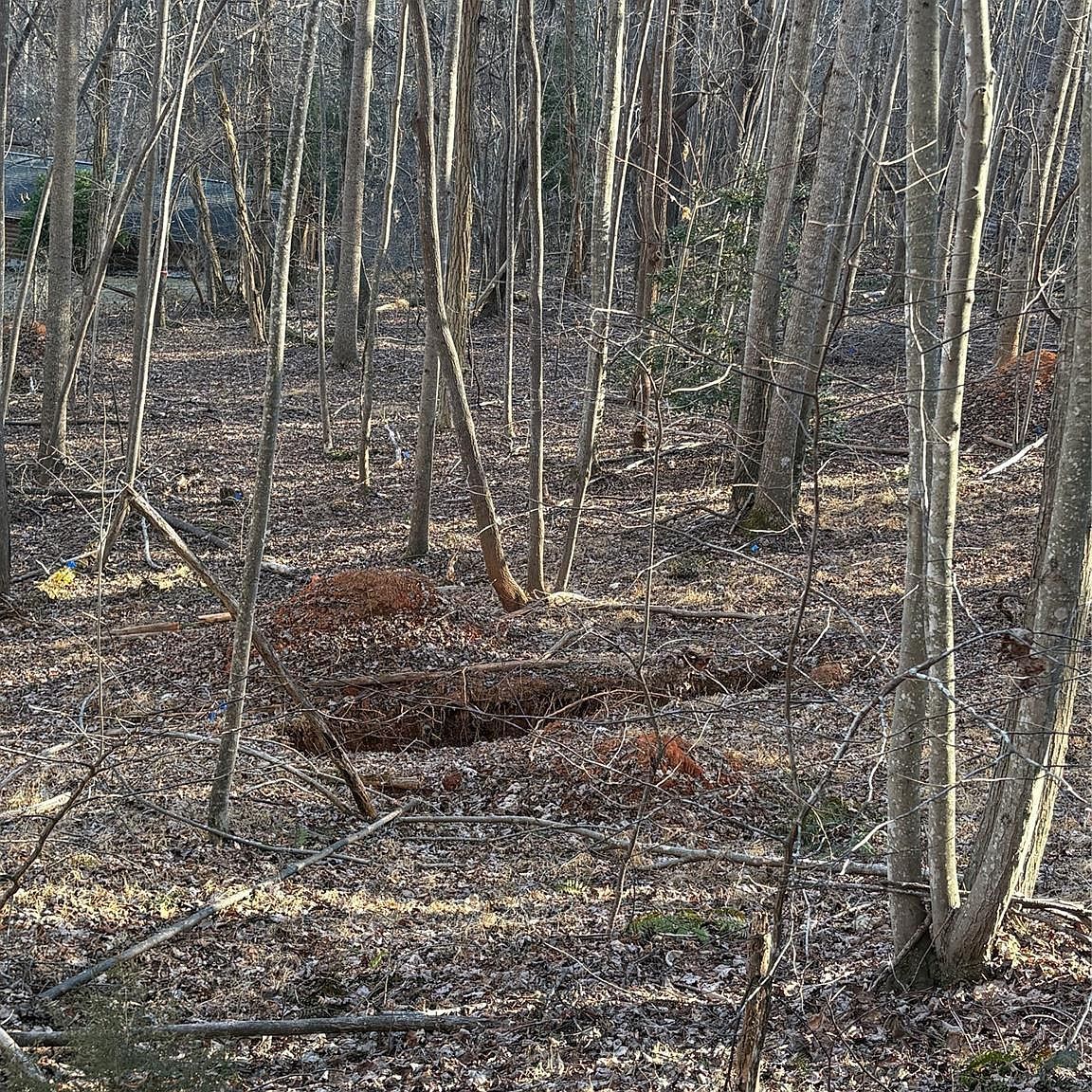 Brindlewood Dr #38V Nebo, NC 28761  | Land/Lot