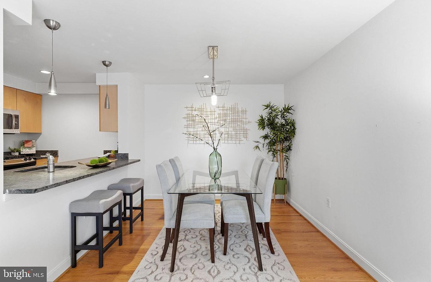 1441 Florida Ave NW APT 2B Washington, DC 20009 | Condominium