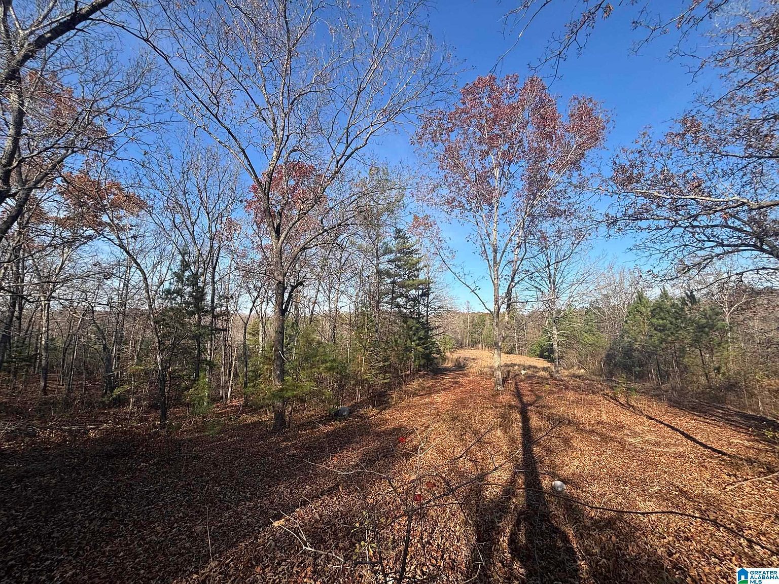 0 Smith Ln #0 Talladega, AL 35160 | Land/Lot