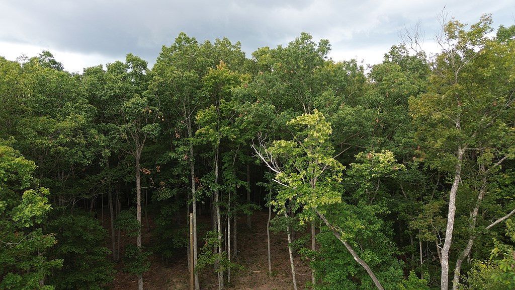 0 Bluff Ln Spencer, TN 38585  | Land/Lot