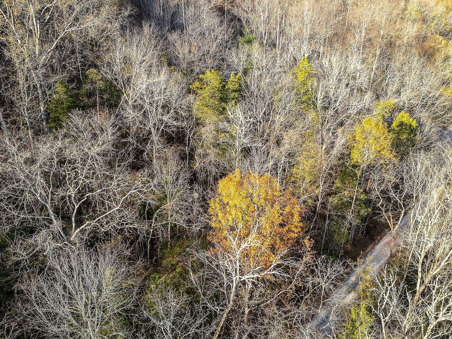 9 Shady Ln Lot 9 Smithville, TN 37166  | Land/Lot