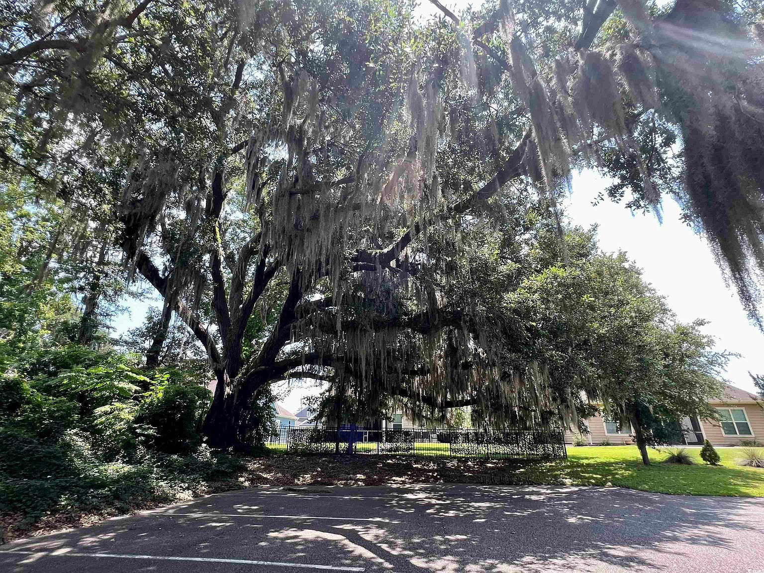 286 Rivers Edge Dr Conway, SC 29526 | Land/Lot