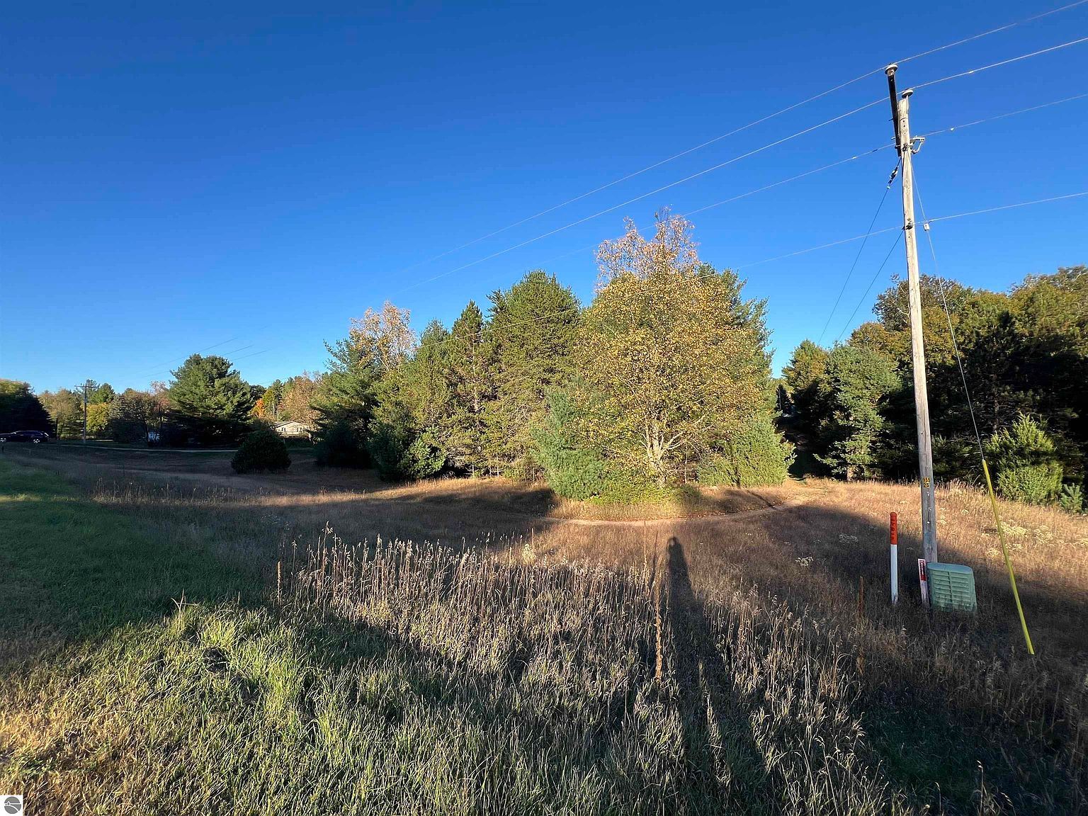 7556 210th Ave Reed City, MI 49677  | Single Family