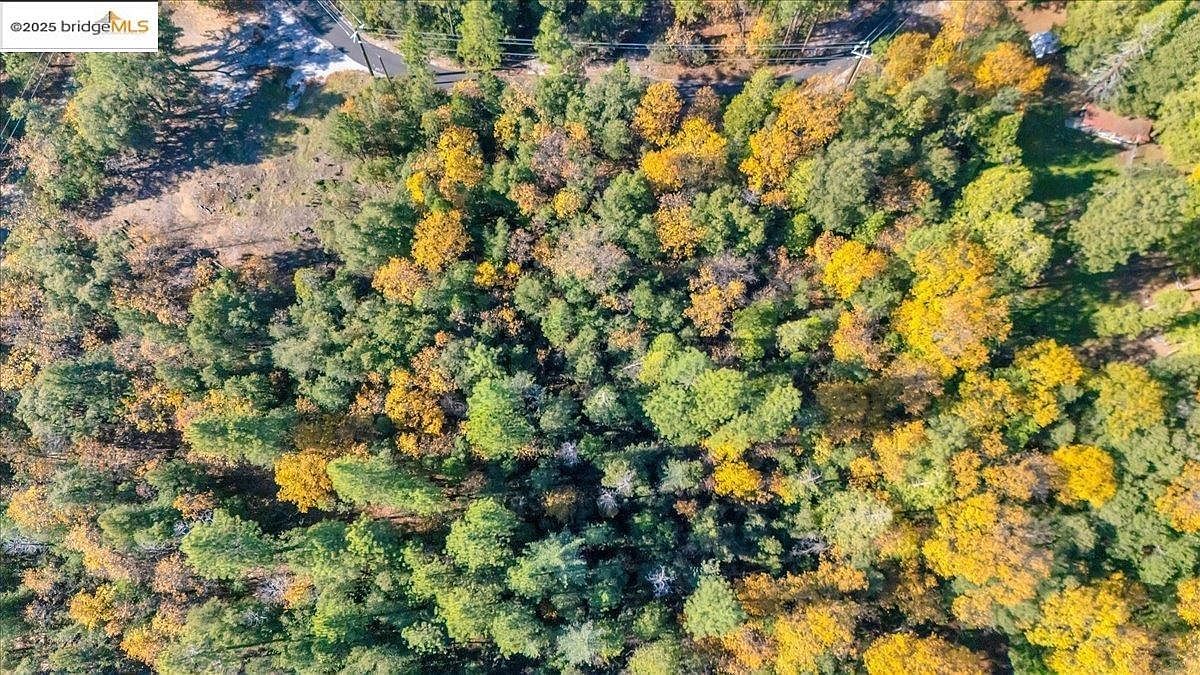 22919 Lazy Z Ln Sonora, CA 95370  | Land/Lot