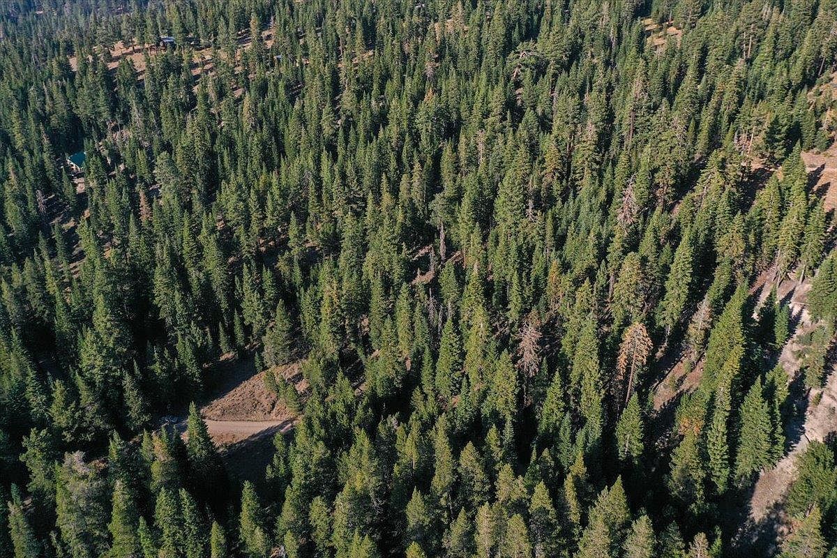 5N01 Eagle Meadow Rd Strawberry, CA 95375  | Land/Lot