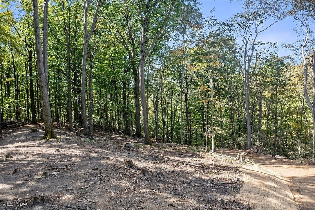 10899 Tibbetts Rd Willoughby, OH 44094  | Land/Lot