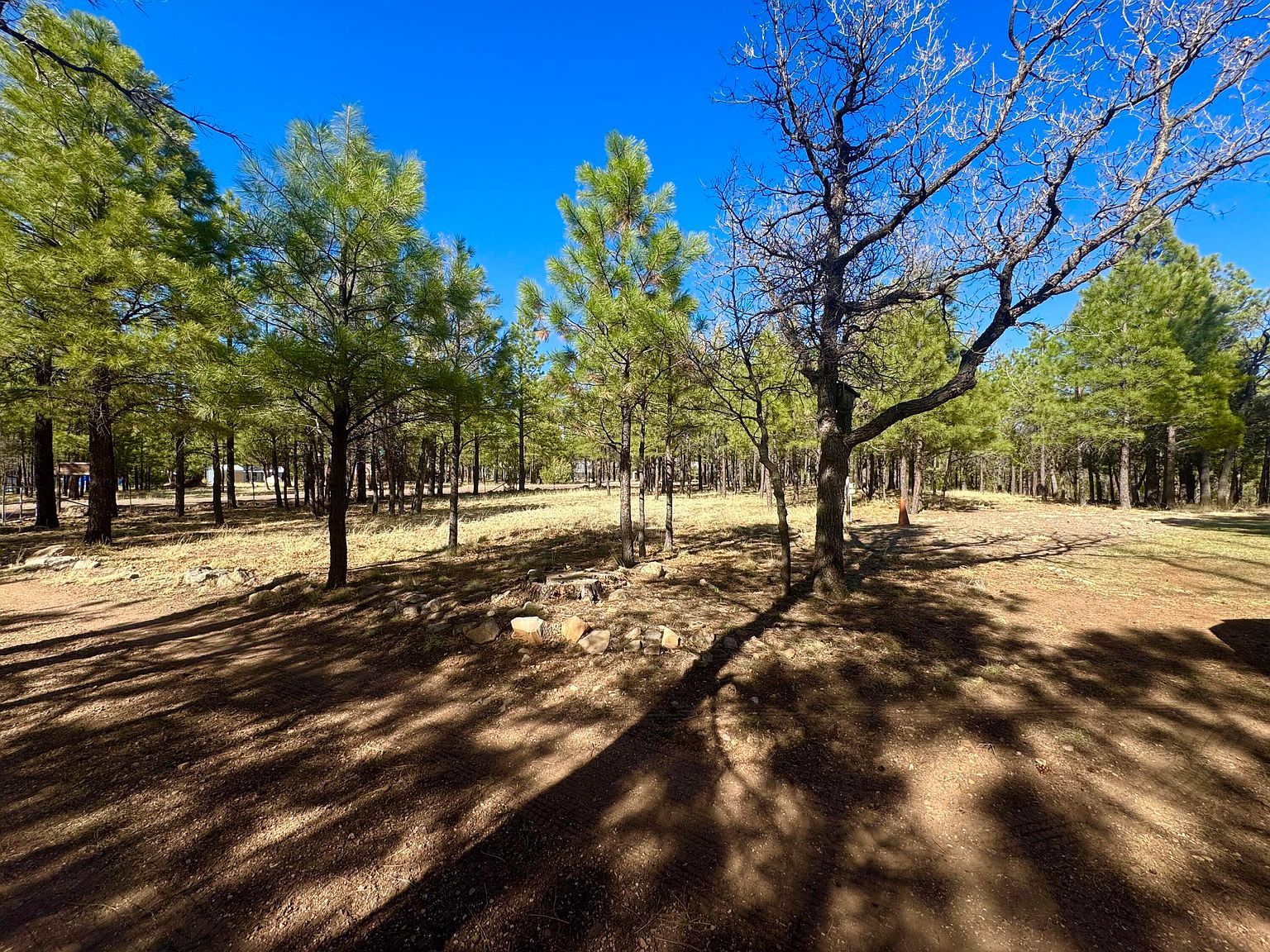 826 Jacks Canyon Dr Happy Jack, AZ 86024 | New build