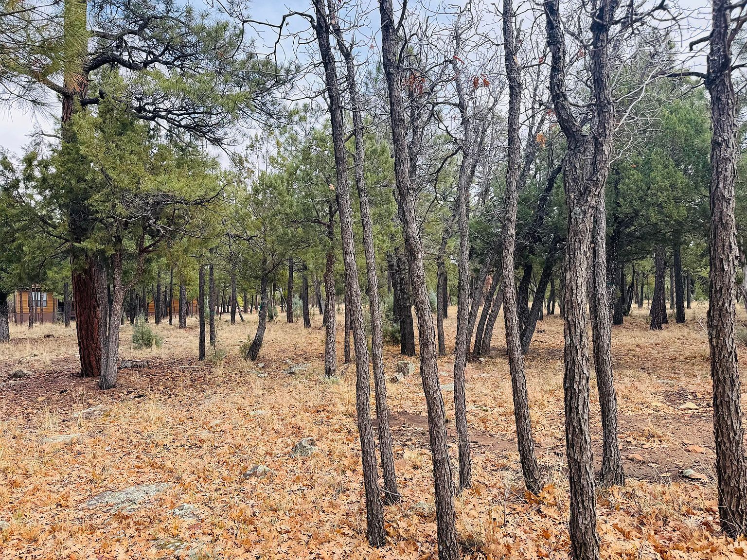 2793 Hummingbird Cir Happy Jack, AZ 86024  | Land/Lot