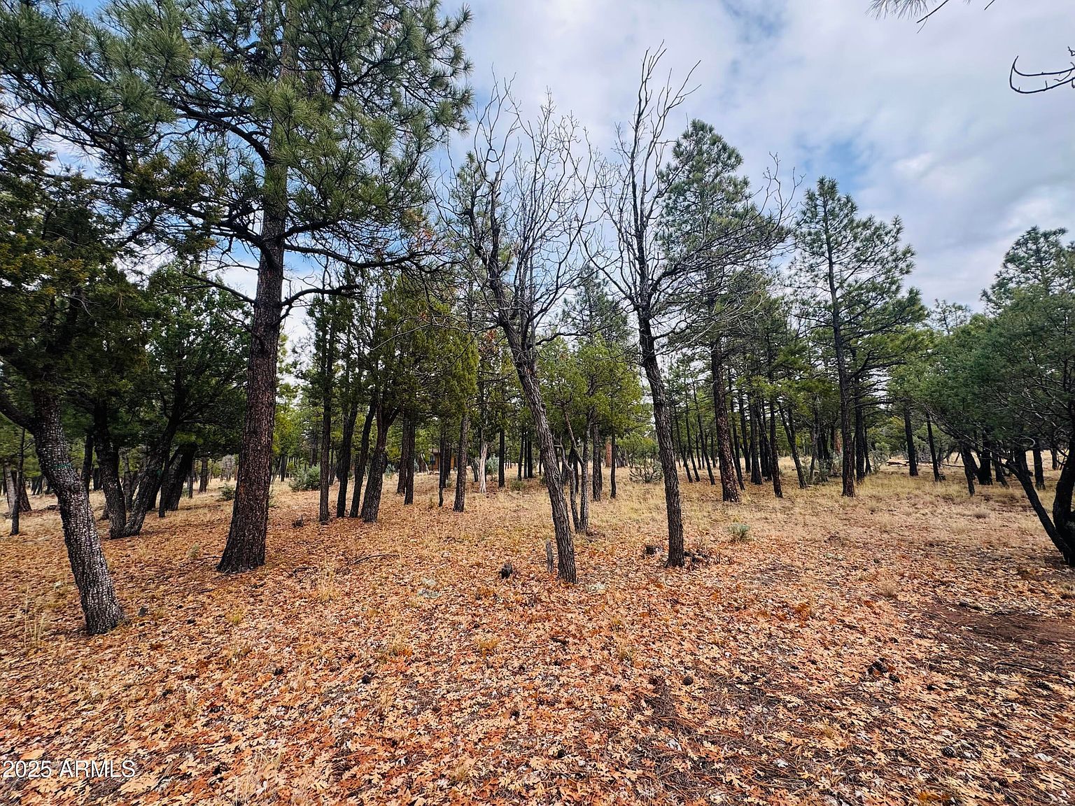 2793 Hummingbird Cir #159 Happy Jack, AZ 86024  | Land/Lot