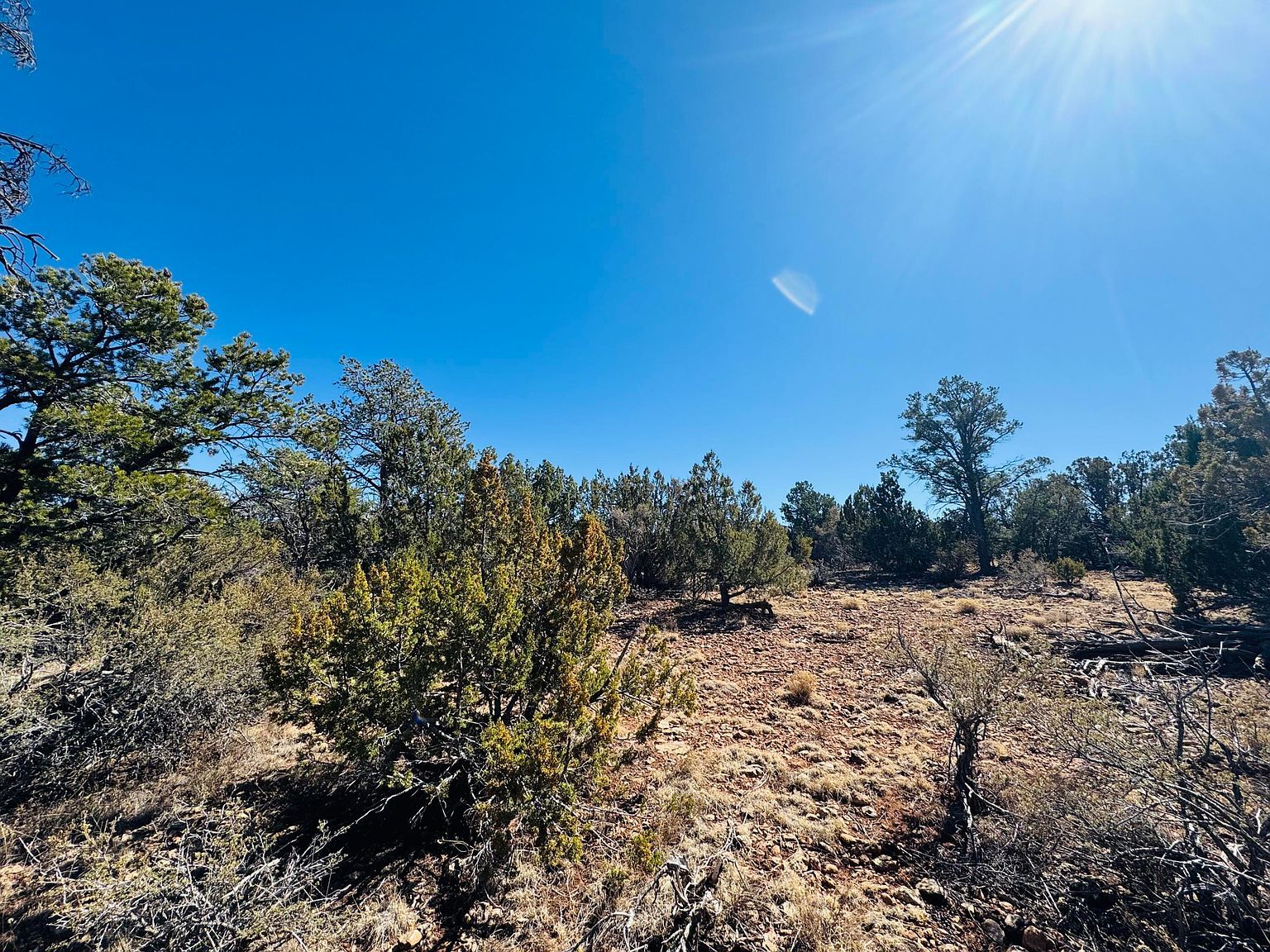4108 Sunset Ridge Loop Happy Jack, AZ 86024  | Land/Lot