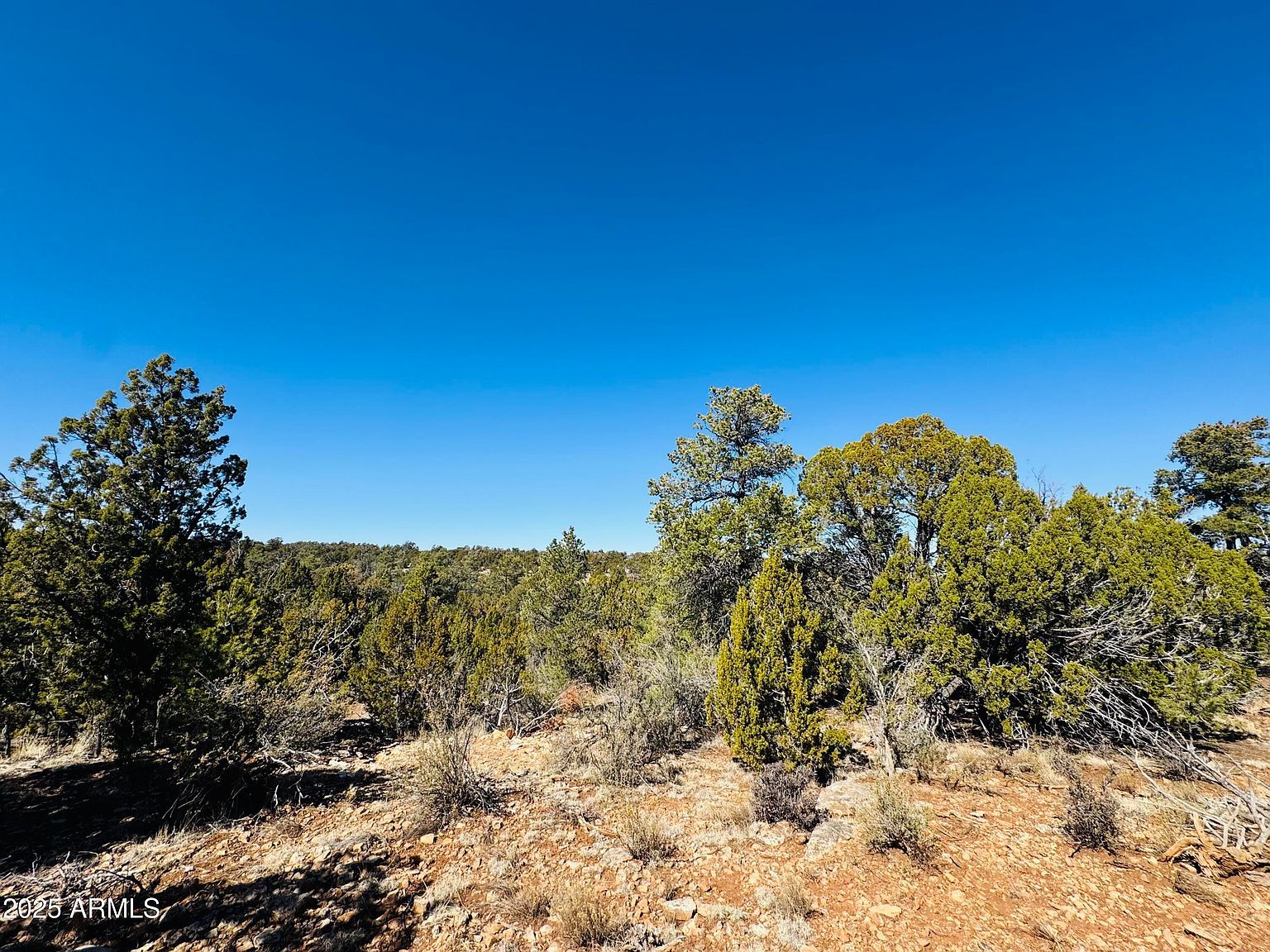 4108 Sunset Ridge Loop #135 Happy Jack, AZ 86024  | Land/Lot