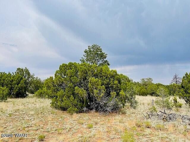 8418 Haven Crest Dr Happy Jack, AZ 86024  | Land/Lot