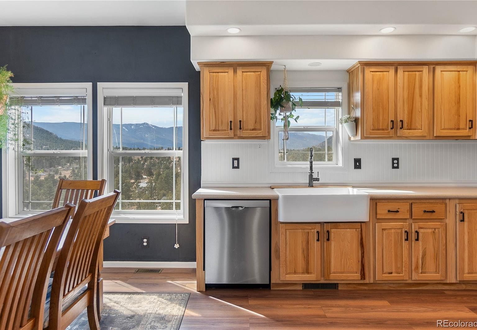 147 Overlook Dr Bailey, CO 80421  | Single Family