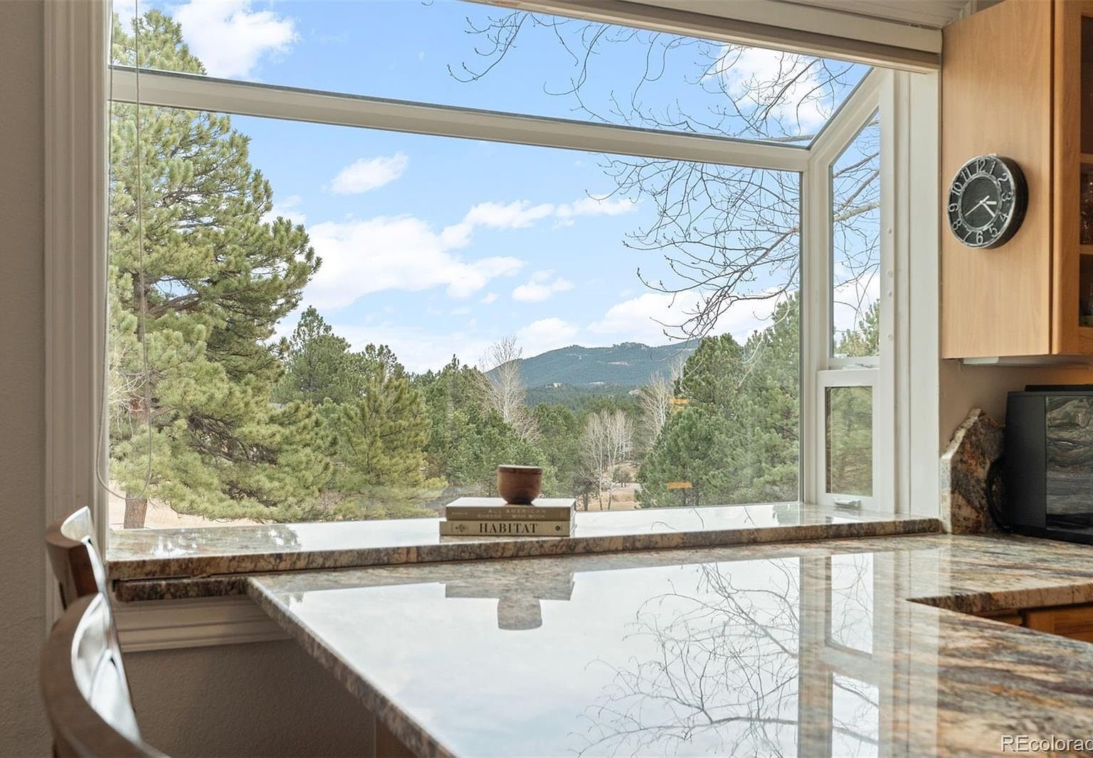 32430 Inverness Dr Evergreen, CO 80439  | Single Family