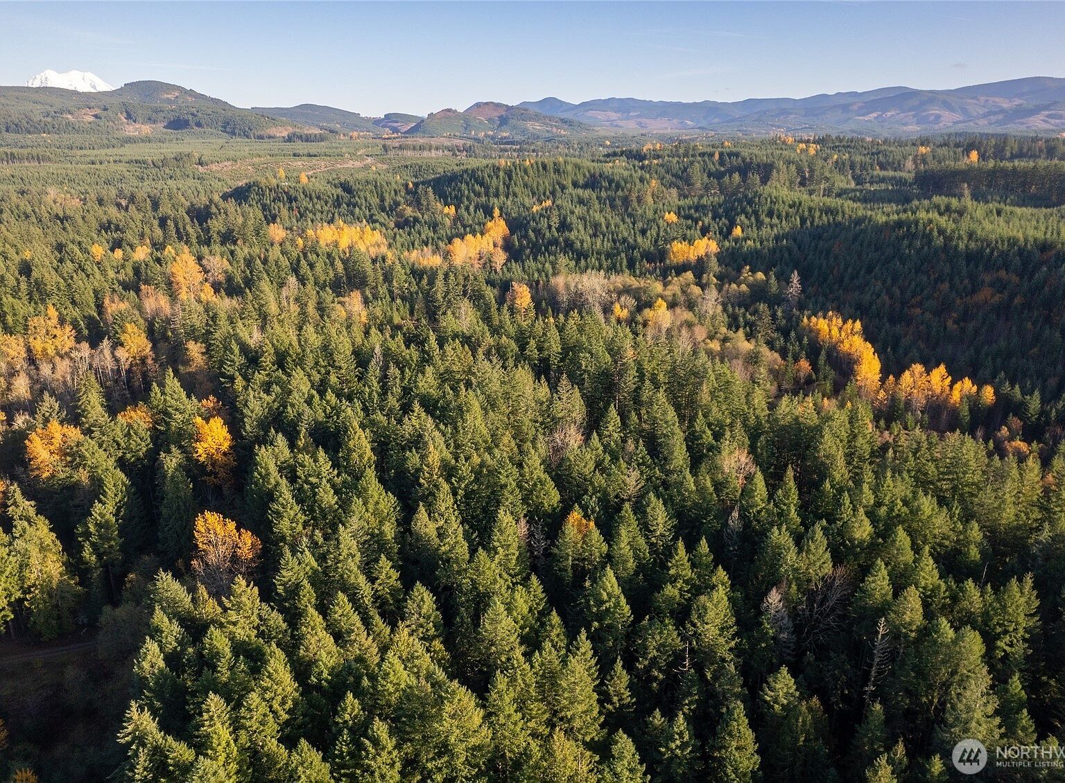 0 Bald Hills Rd SE Yelm, WA 98597  | Land/Lot