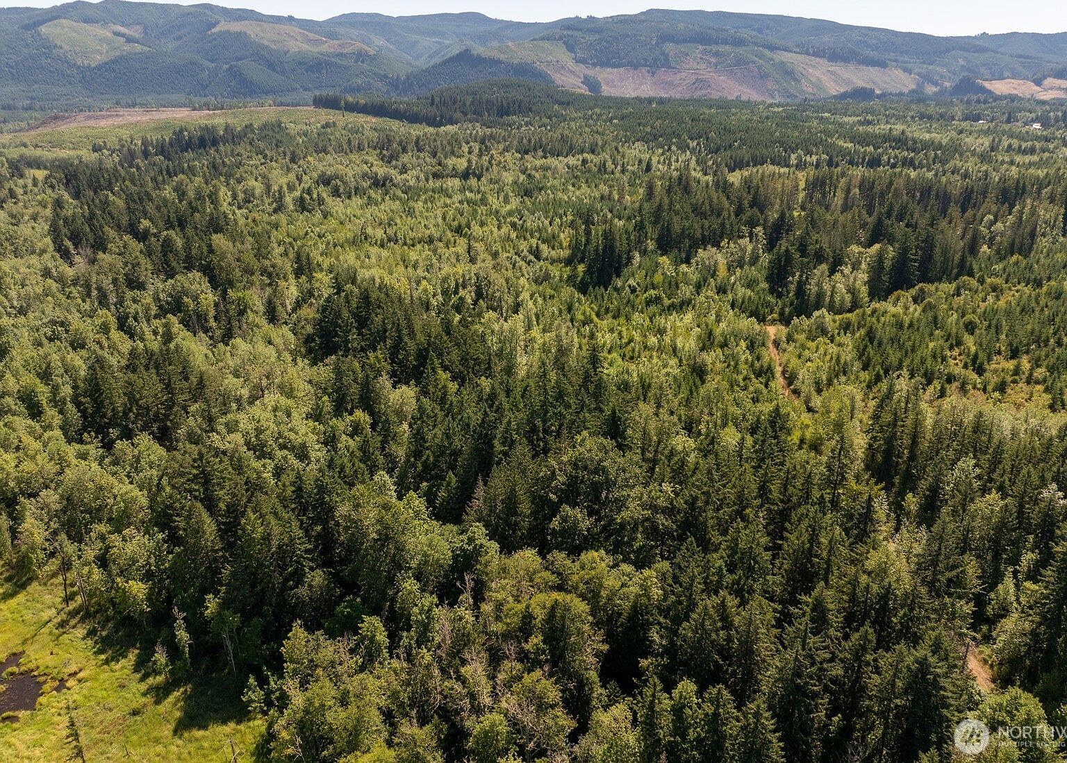 0 173rd Ave SE Yelm, WA 98597  | Land/Lot