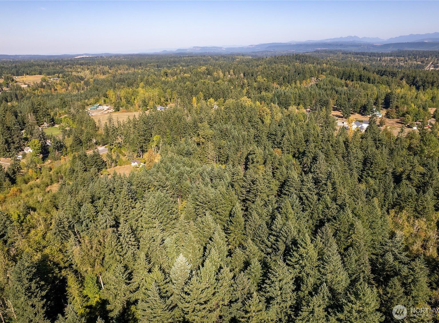 36716 Eatonville Cutoff Rd E Eatonville, WA 98328  | Land/Lot