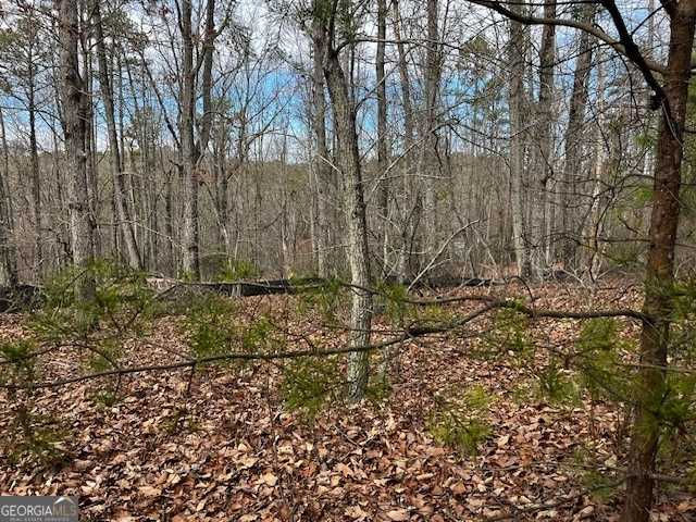 Lot 6 Planters Pointe Dr, Baldwin, GA, 30511  | Land/Lot