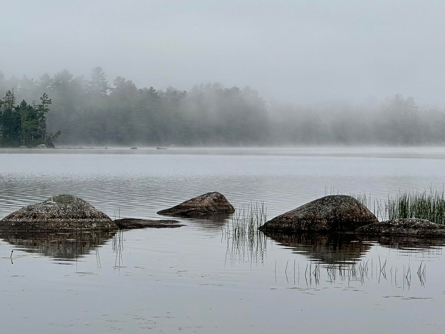 277 Gus Moore Rd Penobscot, ME 04476  | Single Family