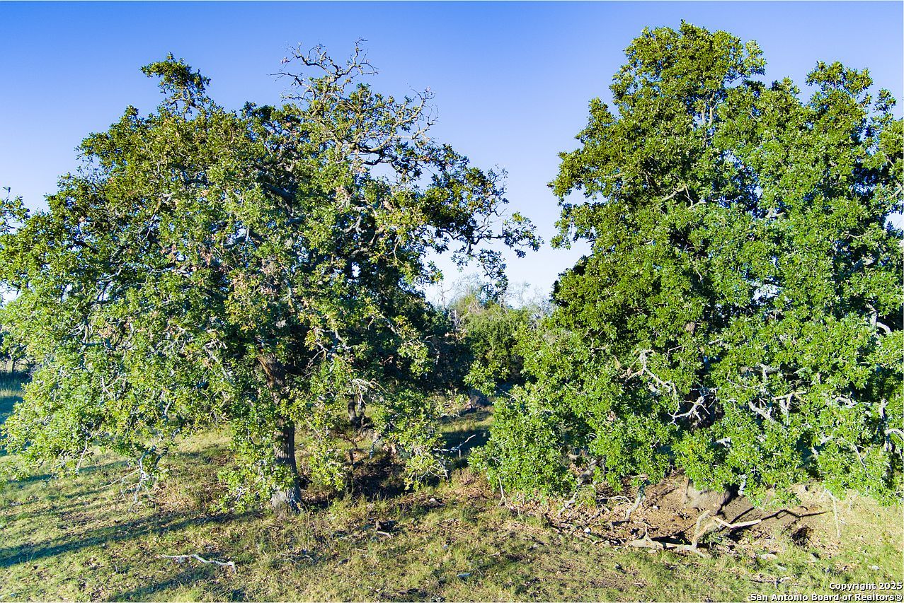 0 Doss Spring Creek Rd Fredericksburg, TX 78624 | Land/Lot