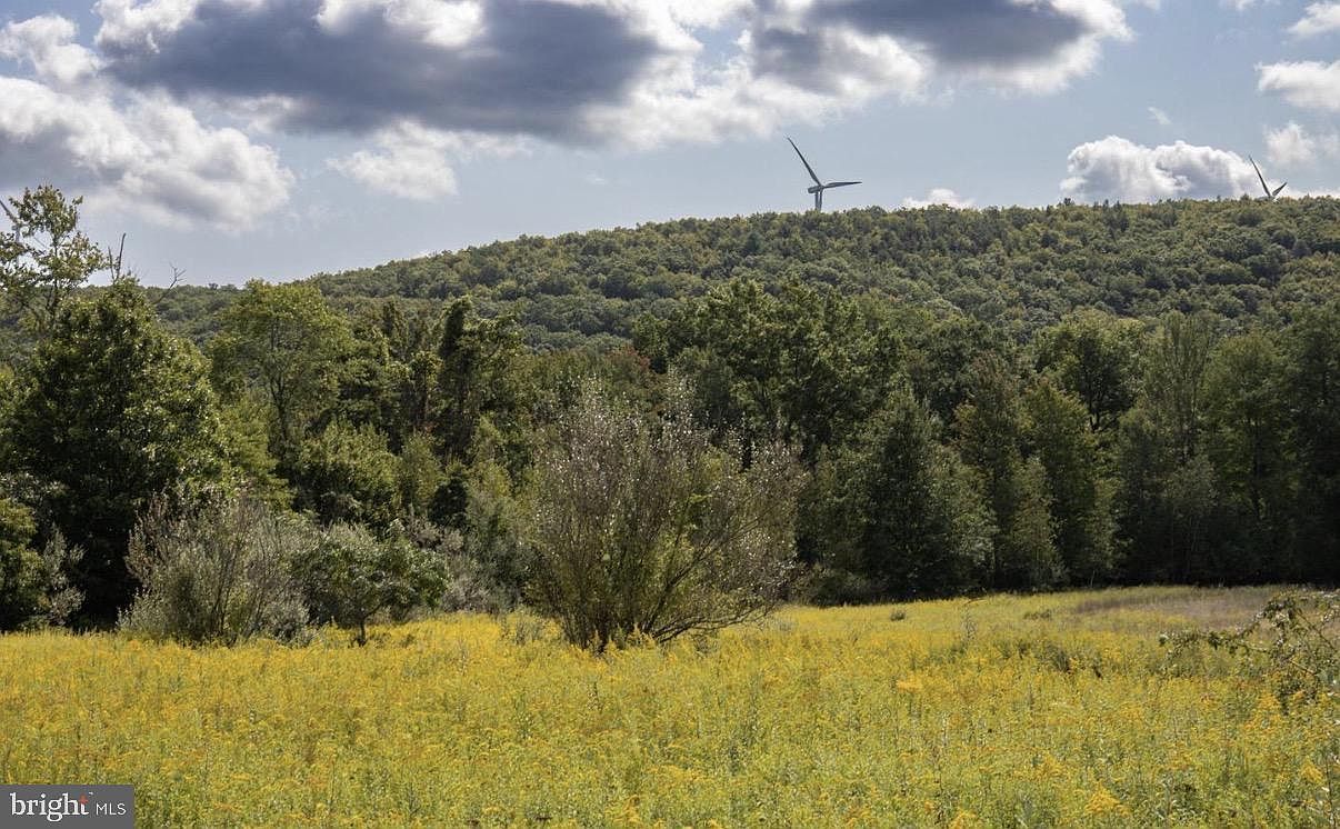 160 E Spruce St Ringtown, PA 17967  | Land/Lot