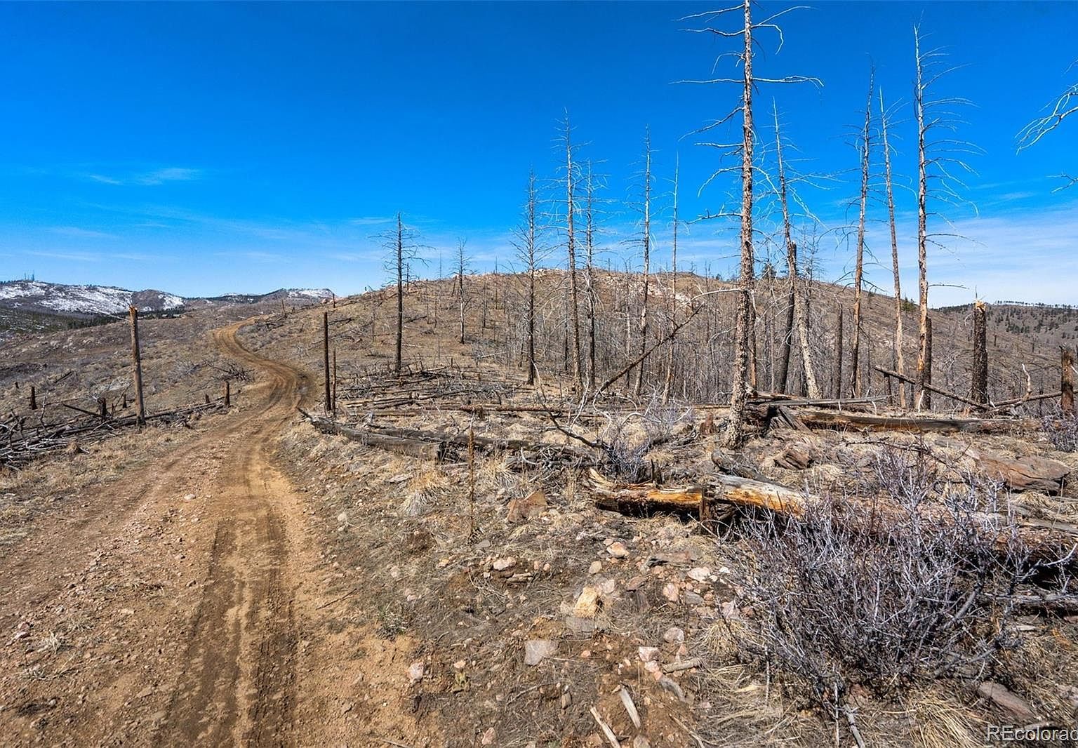 Rist Creek Rd Bellvue, CO 80512  | Land/Lot