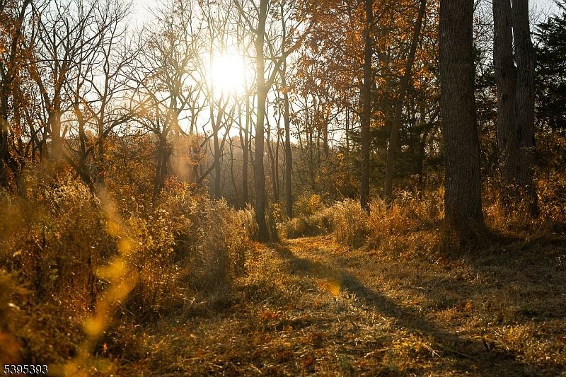 0 Asbury Broadway Rd Asbury, NJ 08802  | Land/Lot