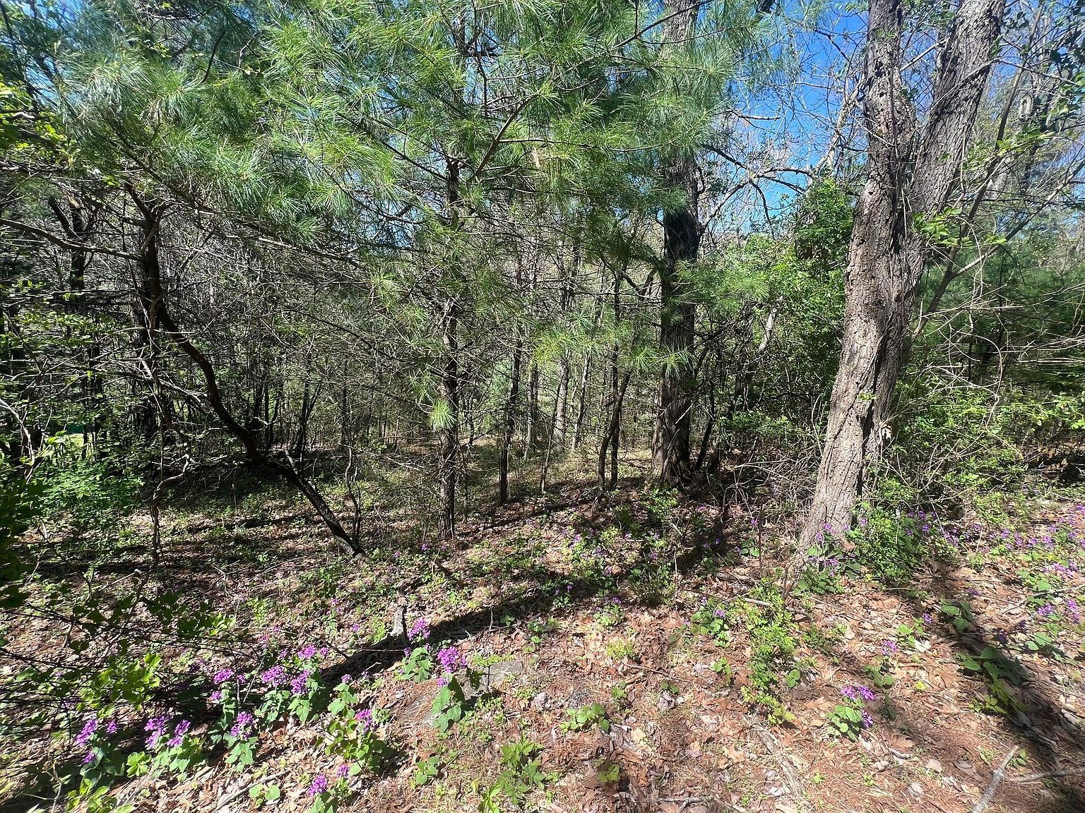 0 Ivy Ridge Rd Bent Mountain, VA 24059  | Land/Lot