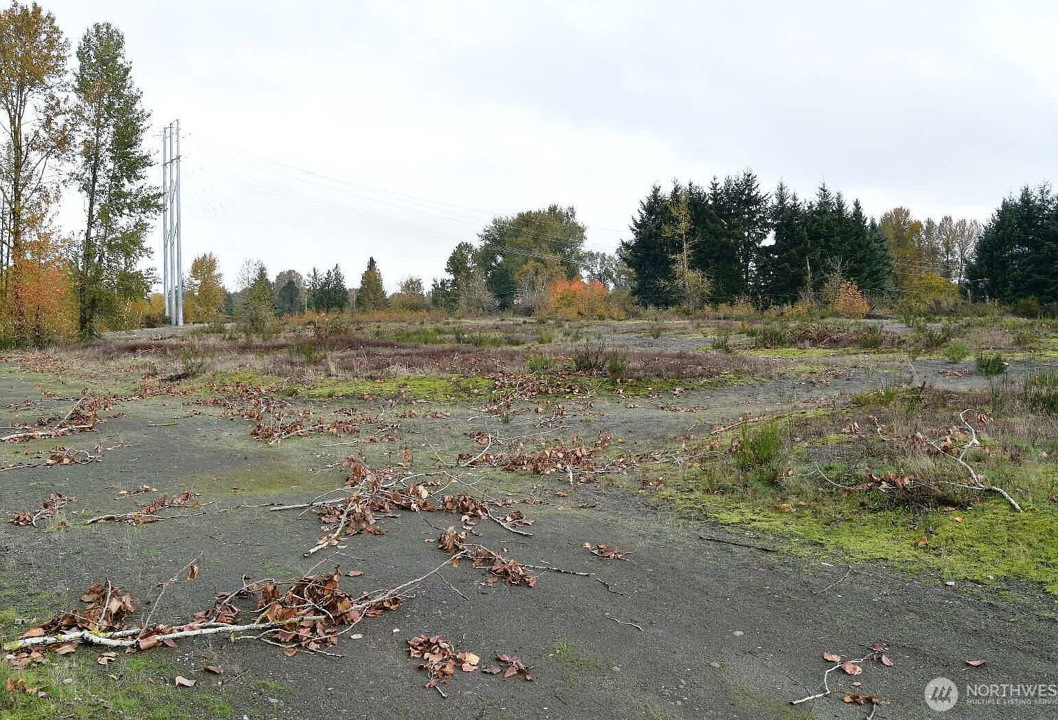 2000 S River Rd Kelso, WA 98626  | Land/Lot