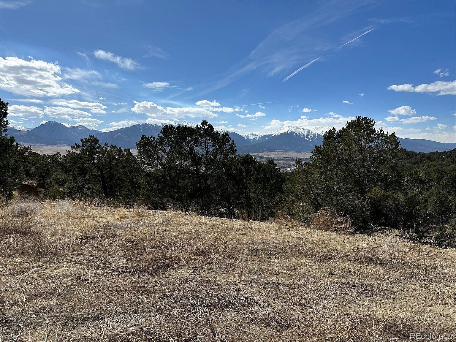 28750 County Road 304 Buena Vista, CO 81211  | Land/Lot