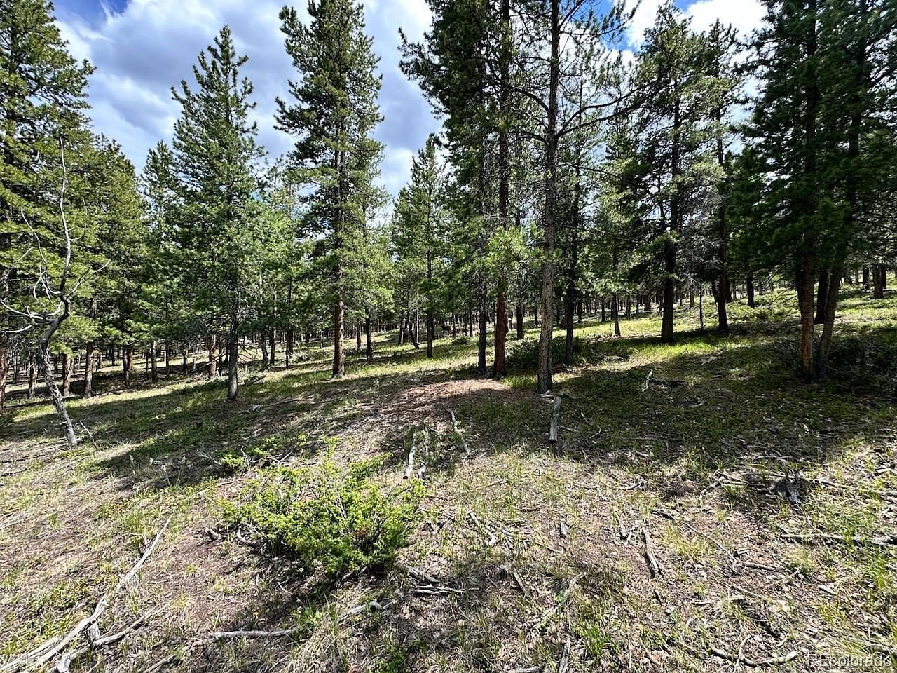 30385 National Forest Dr Buena Vista, CO 81211  | Land/Lot
