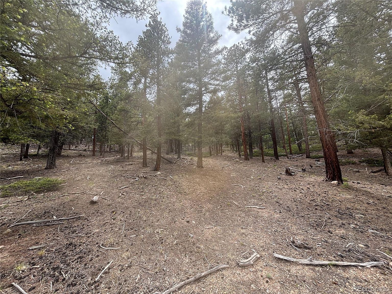 30304 Aspen Turn #13 Buena Vista, CO 81211  | Land/Lot