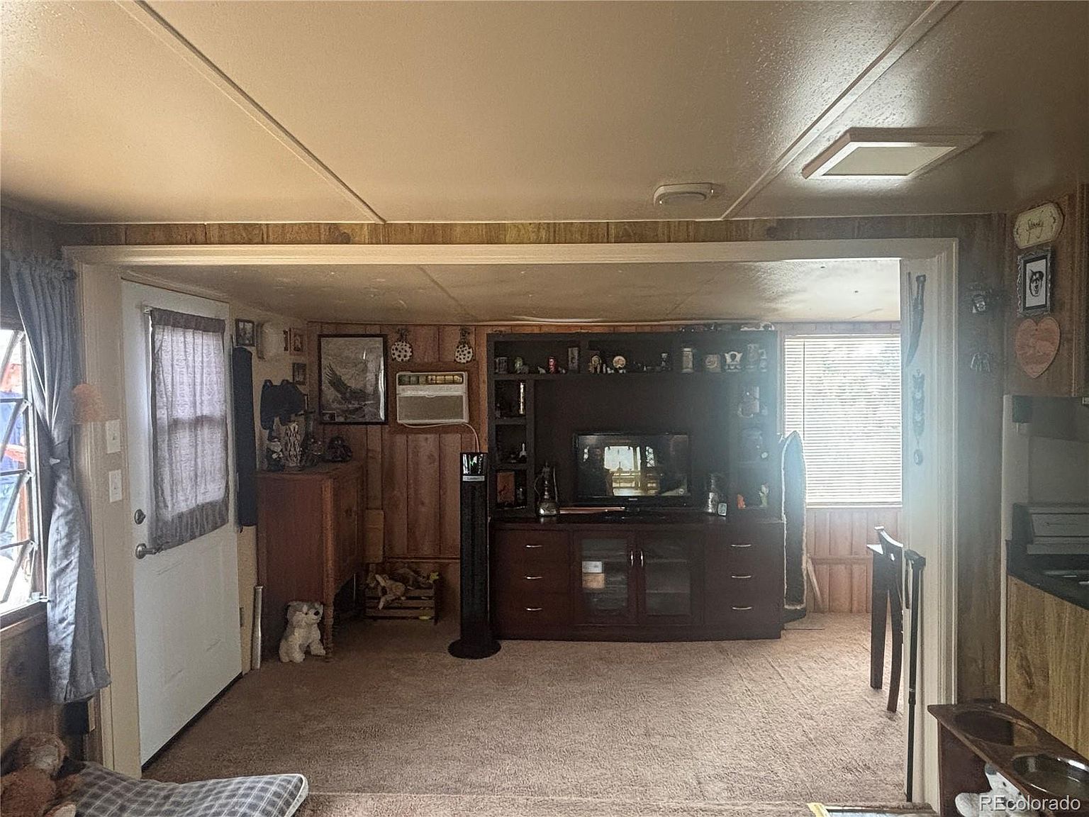 10795 County Road 197 #A-282-283 Nathrop, CO 81236  | New build