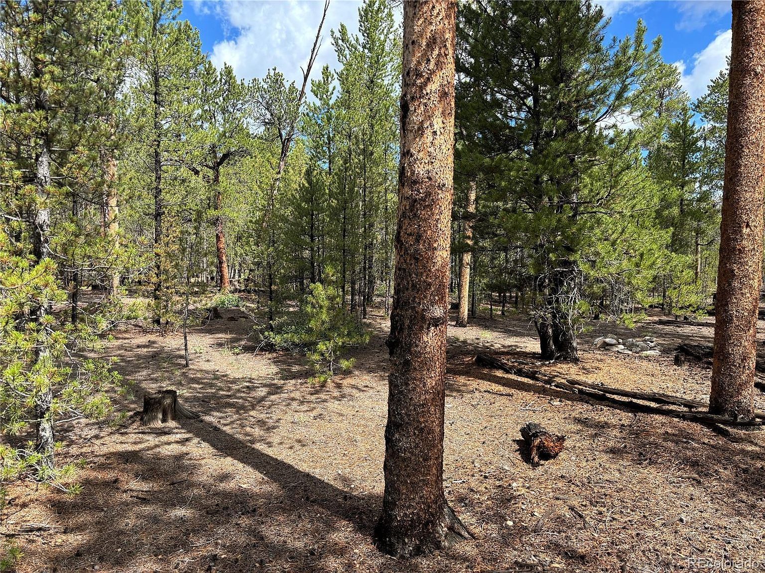 399 Fir Dr #124 Leadville, CO 80461  | Land/Lot