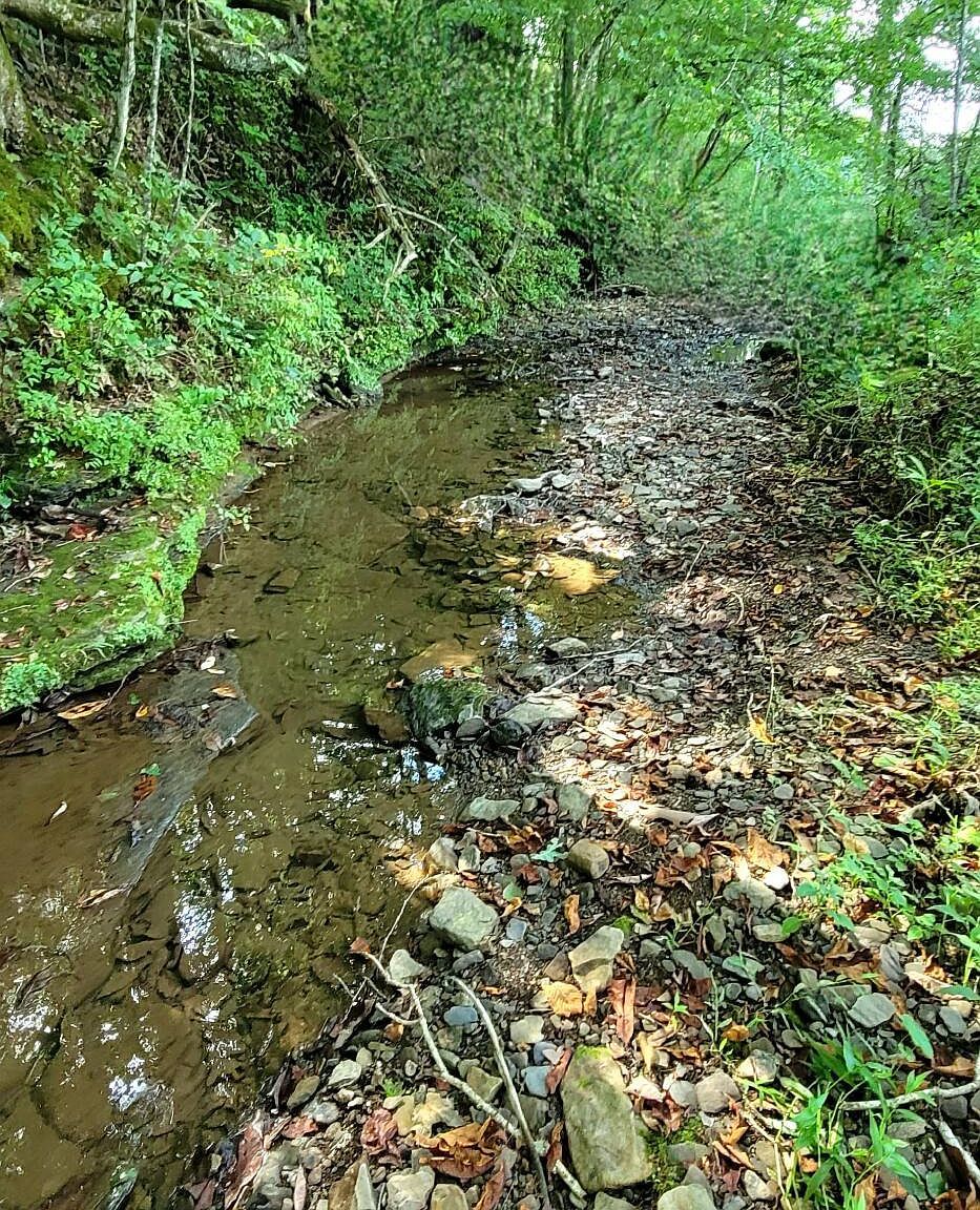 8079 Wayside Creamery Rd Alderson, WV 24910  | Single Family