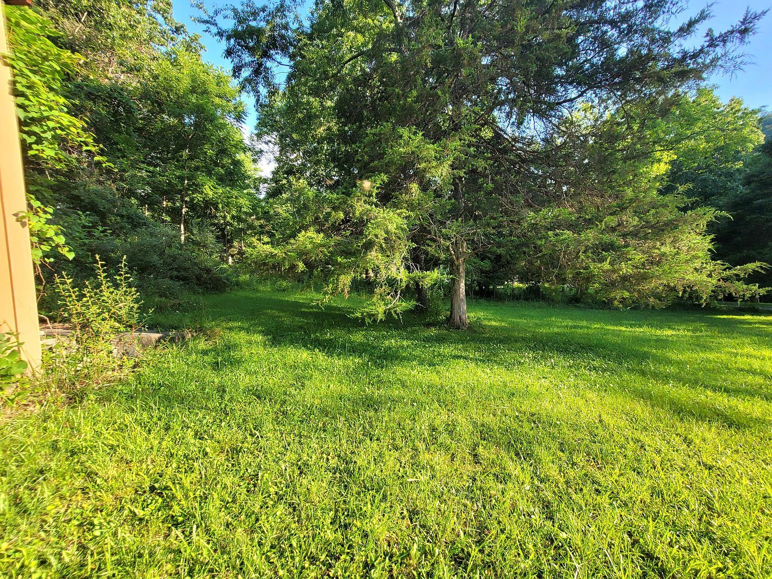 291 Blankenship Rd Talcott, WV 24981  | Land/Lot