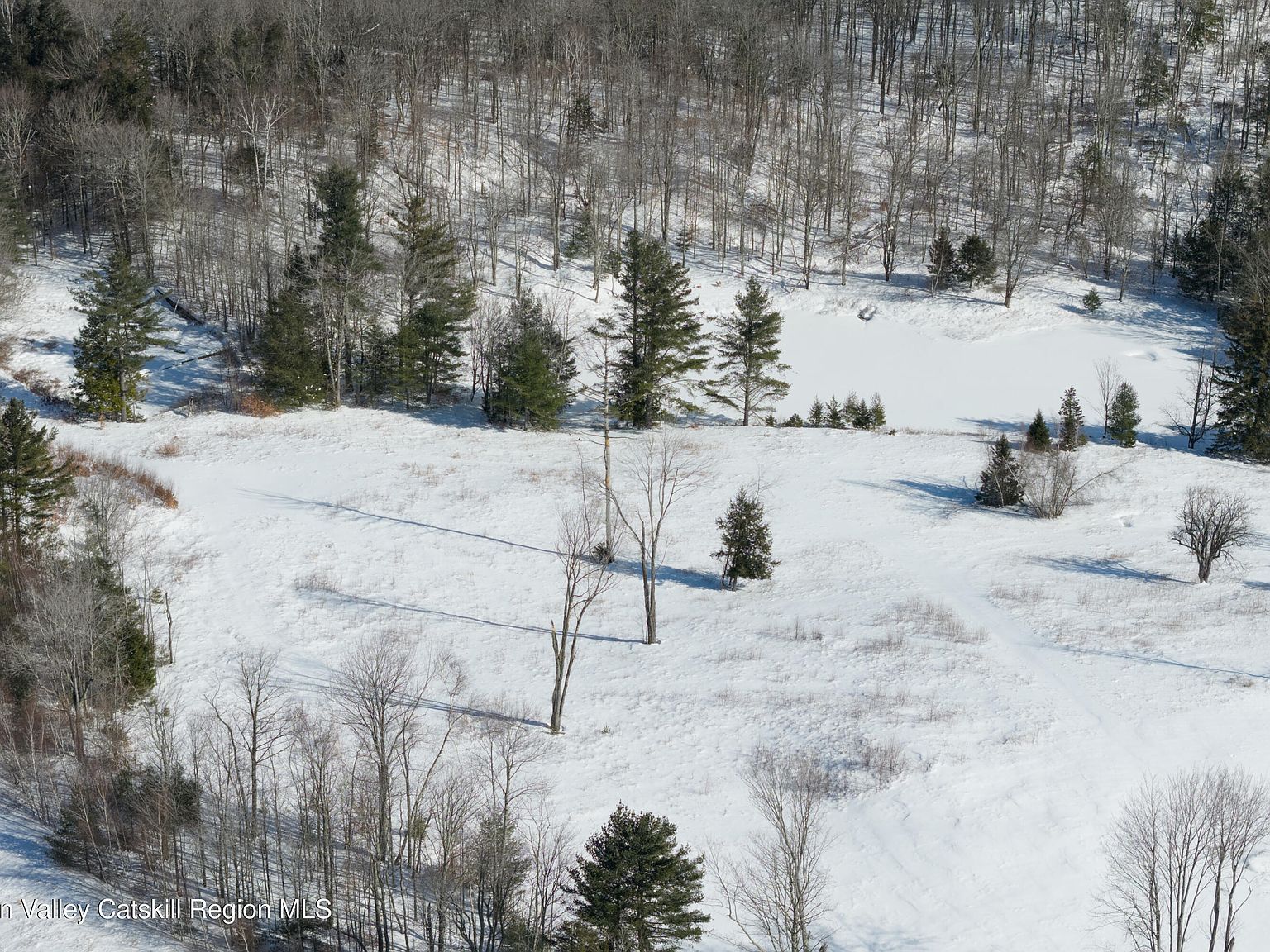 4 Ruth Ct Hunter, NY 12442  | Land/Lot