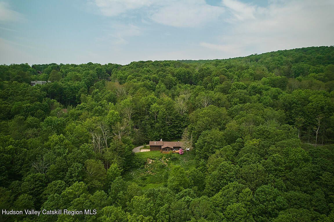 38 Woodchuck Rd Roxbury, NY 12474  | Single Family