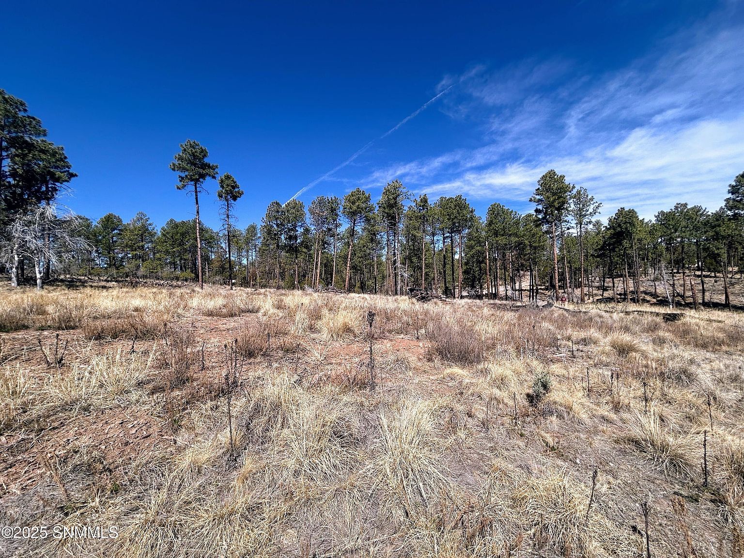 31 Bahamas Dr Timberon, NM 88350  | Land/Lot
