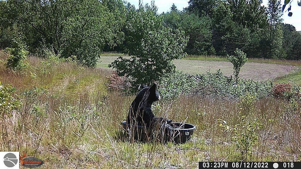 E 18 1/2 Rd Parcel E Manton, MI 49663  | Land/Lot